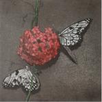 Schmetterlinge und Bltenball - Aquatintaradierung, koloriert - 15 x 15 cm - 2014 (30er Auflage)