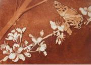 Schmetterling auf Kirschblte - Aquatintaradierung - 15 x 20 cm - 2013 (10er Auflage)
