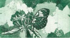 Schmetterling und Blte - Aquatintaradierung - 5 x 10 cm - 2012 (10er Auflage)